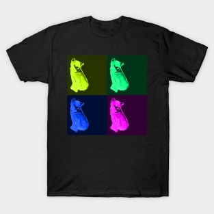 Kitten T-Shirt